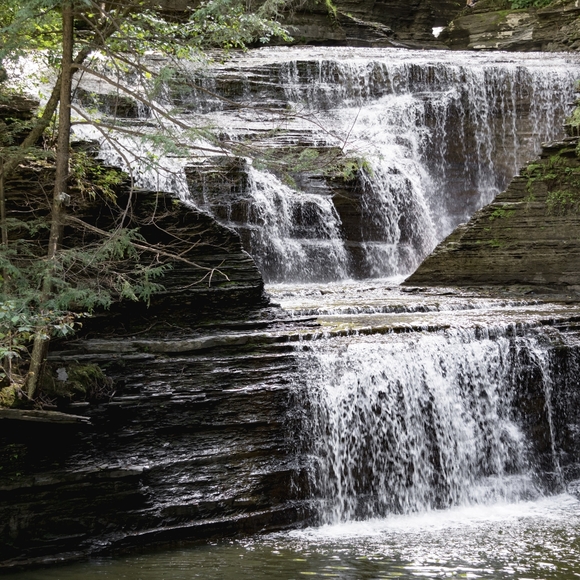 Meet your Posher, Stephanie - Picture 8 of 10